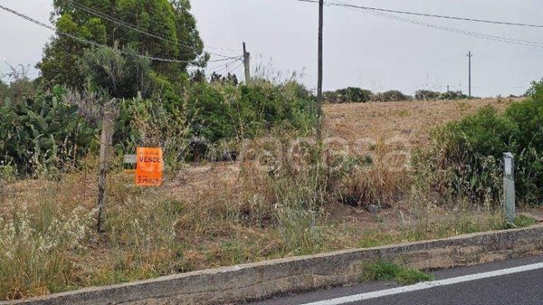 terreno agricolo in vendita a Sassari