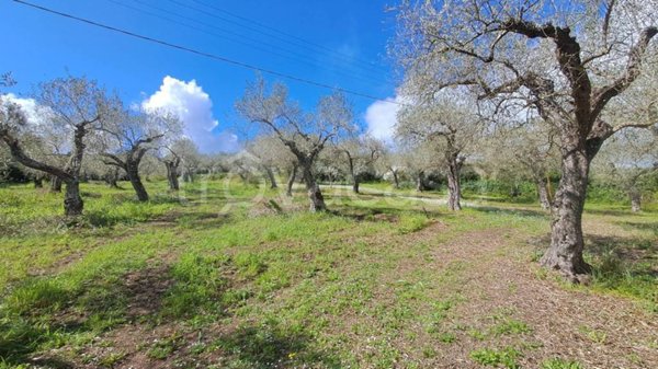 terreno agricolo in vendita a Sassari in zona Campanedda