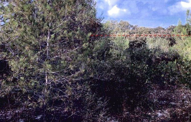 terreno agricolo in vendita a Sassari in zona Monserrato / Rizzeddu