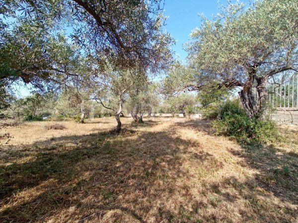casa indipendente in vendita a Sassari