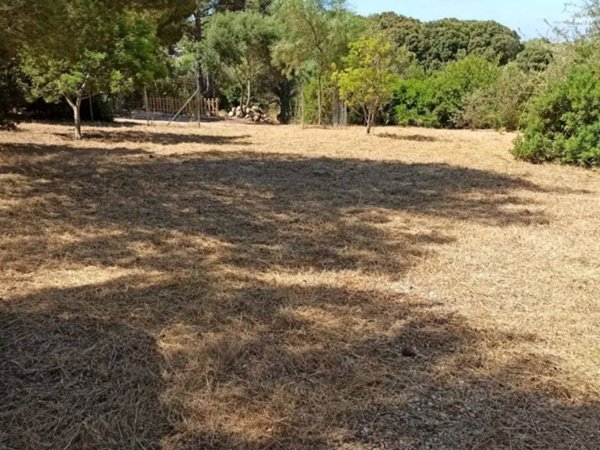 terreno agricolo in vendita a Sassari in zona Latte Dolce