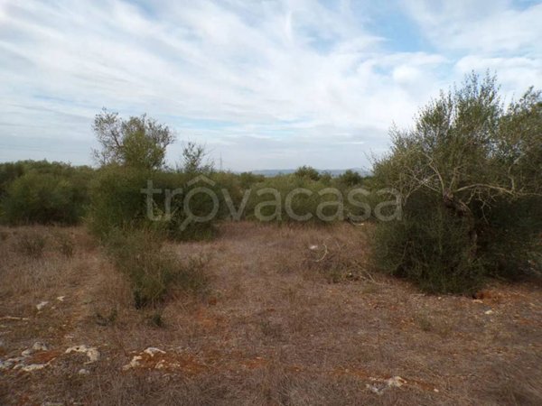 terreno agricolo in vendita a Sassari in zona La Landrigga