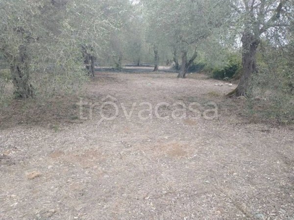 terreno agricolo in vendita a Sassari in zona Li Punti