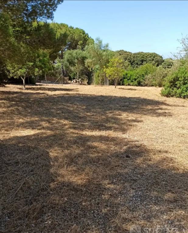 terreno agricolo in vendita a Sassari in zona Latte Dolce