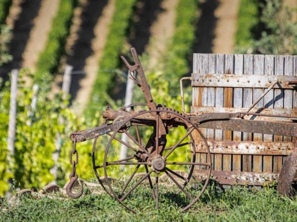 terreno agricolo in vendita a Sassari in zona Centro Storico