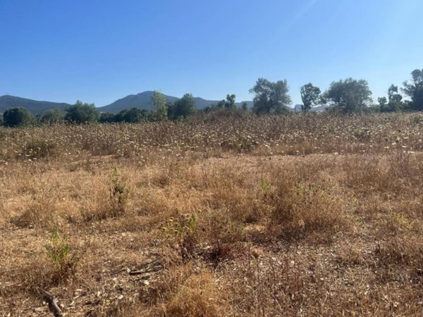 terreno agricolo in vendita a Sassari in zona Palmadula