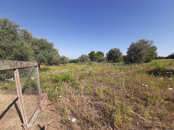 terreno agricolo in vendita a Sassari in zona Latte Dolce