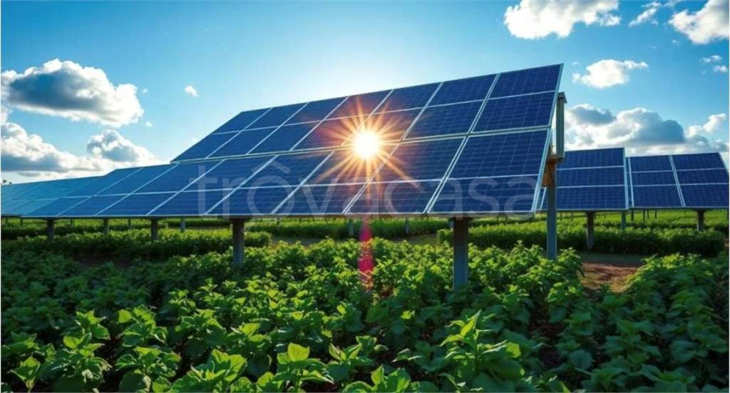 terreno agricolo in vendita a Sassari in zona Latte Dolce