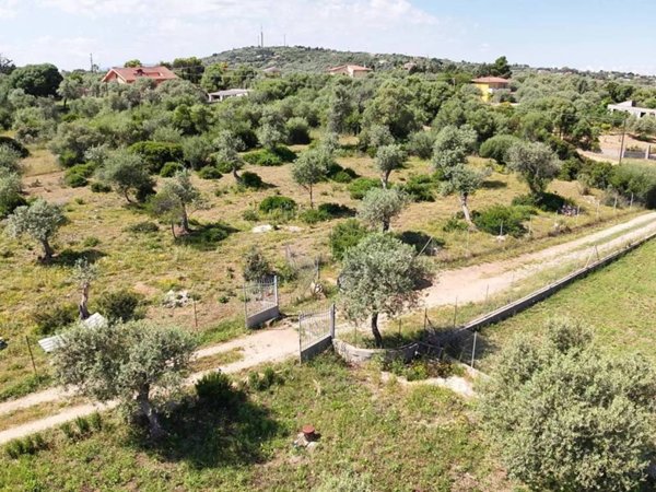 terreno agricolo in vendita a Sassari in zona Li Punti