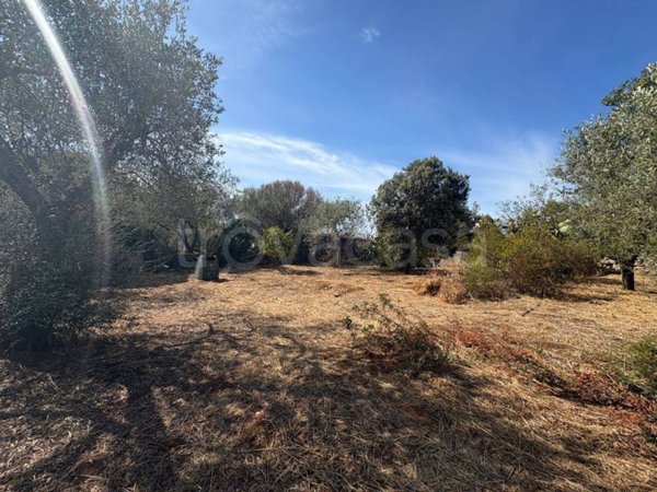 terreno agricolo in vendita a Sassari in zona La Landrigga