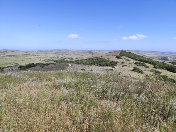 terreno agricolo in vendita a Sassari in zona Palmadula