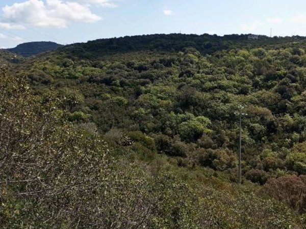 terreno agricolo in vendita a Sassari in zona Latte Dolce