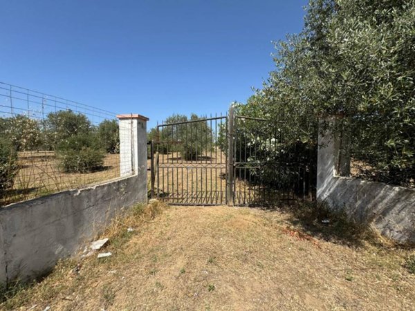 terreno agricolo in vendita a Sassari in zona San Giovanni
