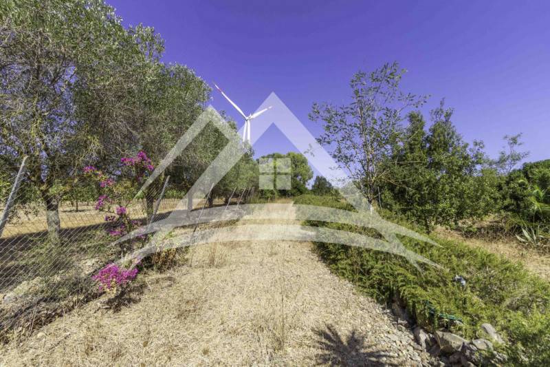 terreno agricolo in vendita a Sassari