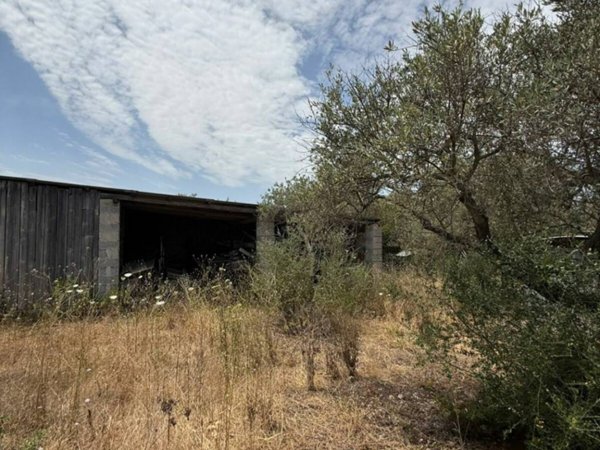 locale commerciale in vendita a Sassari in zona La Landrigga