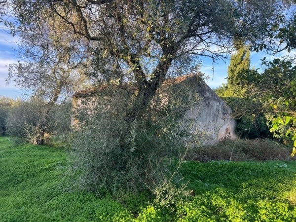 appartamento in vendita a Sassari in zona Li Punti