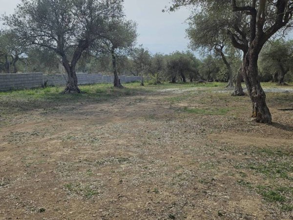 terreno agricolo in vendita a Sassari in zona Monserrato / Rizzeddu