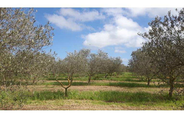 casa indipendente in vendita a Sassari in zona Campanedda