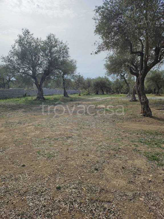 terreno agricolo in vendita a Sassari in zona Monserrato / Rizzeddu