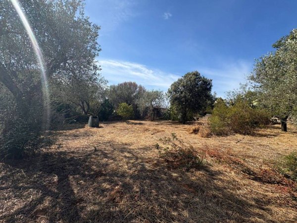terreno agricolo in vendita a Sassari in zona La Landrigga