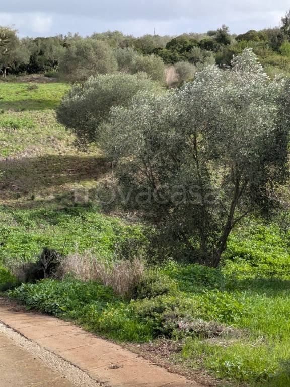 casa indipendente in vendita a Sassari in zona Li Punti
