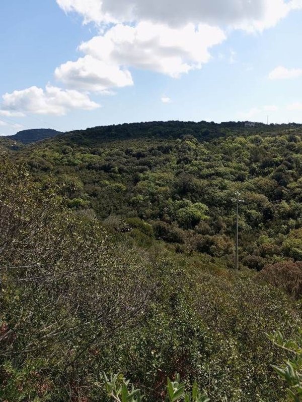 casa indipendente in vendita a Sassari
