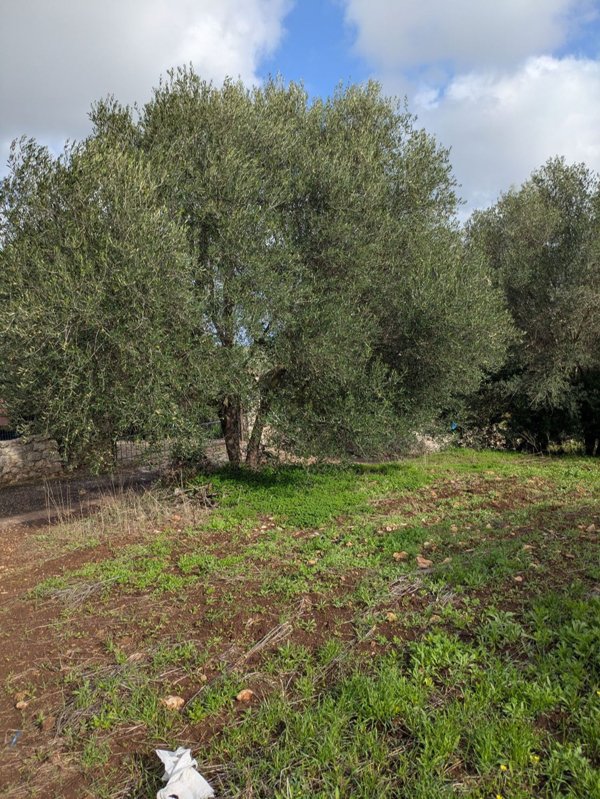 ufficio in vendita a Sassari in zona Bancali