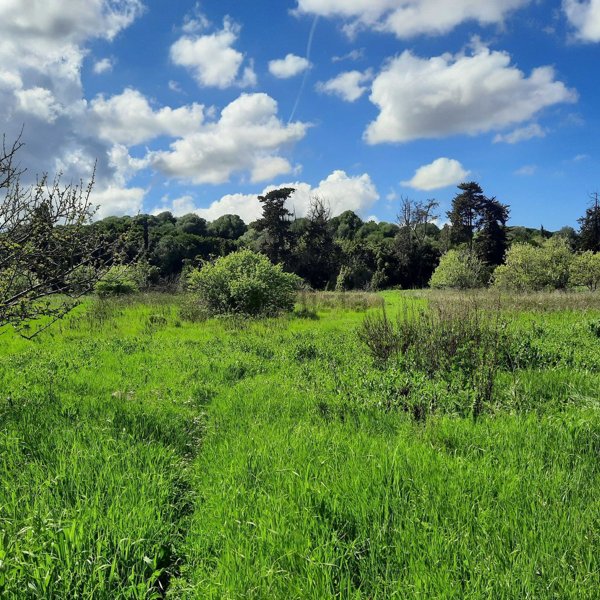 rudere in vendita a Sassari in zona San Giovanni