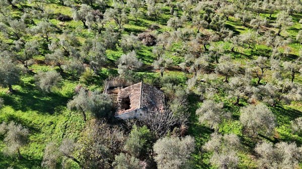 terreno agricolo in vendita a Sassari in zona Li Punti