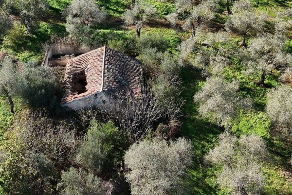 terreno agricolo in vendita a Sassari in zona Li Punti