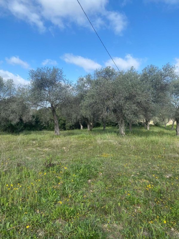 rudere in vendita a Sassari in zona Sant'Orsola / Zuari
