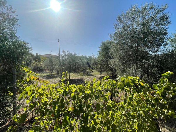 quadrivano in vendita a Sassari in zona Li Punti