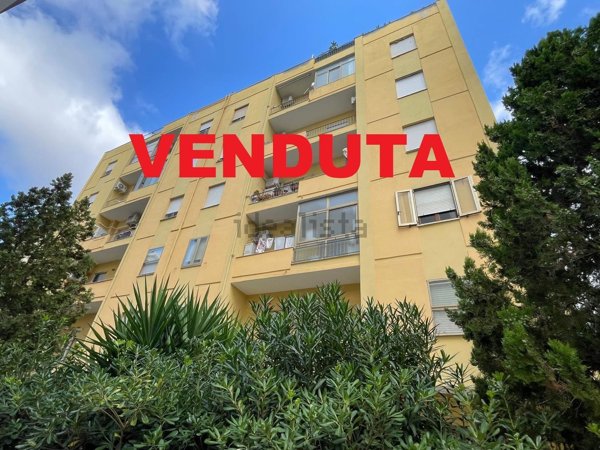appartamento in vendita a Sassari