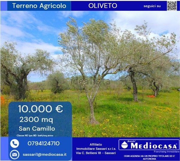 terreno agricolo in vendita a Sassari in zona San Giovanni