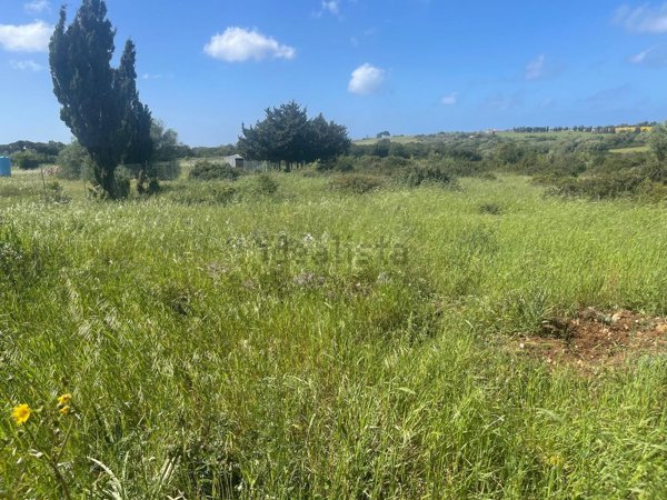 terreno agricolo in vendita a Sassari in zona Ottava