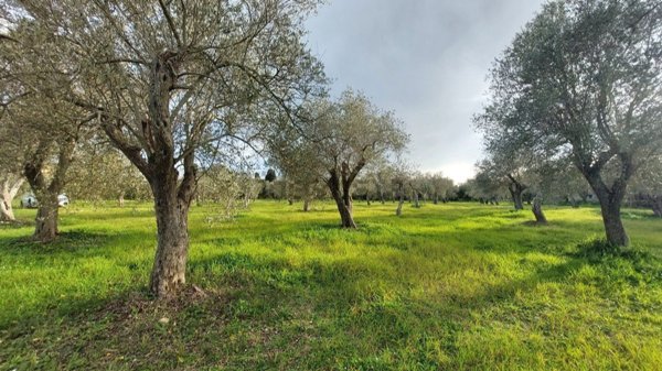 casa indipendente in vendita a Sassari in zona San Giovanni