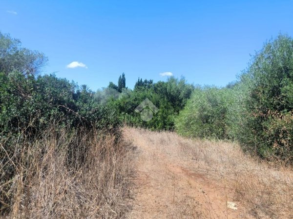 terreno agricolo in vendita a Sassari in zona Bancali