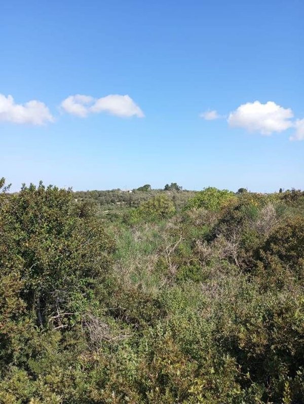 casa indipendente in vendita a Sassari