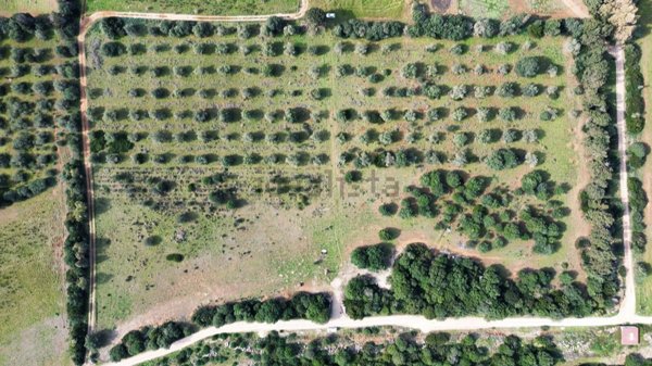 casa indipendente in vendita a Sassari in zona Tottubella/Rumanedda