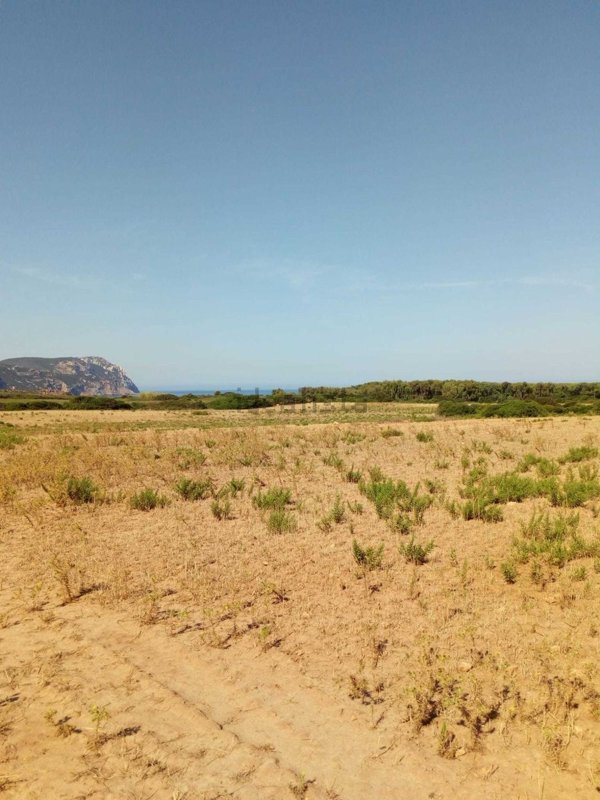 terreno agricolo in vendita a Sassari