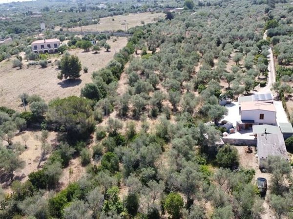 terreno agricolo in vendita a Sassari in zona Bancali