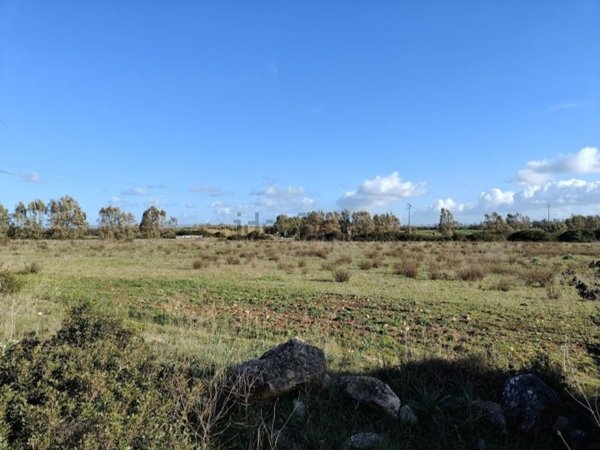 terreno agricolo in vendita a Sassari in zona Campanedda