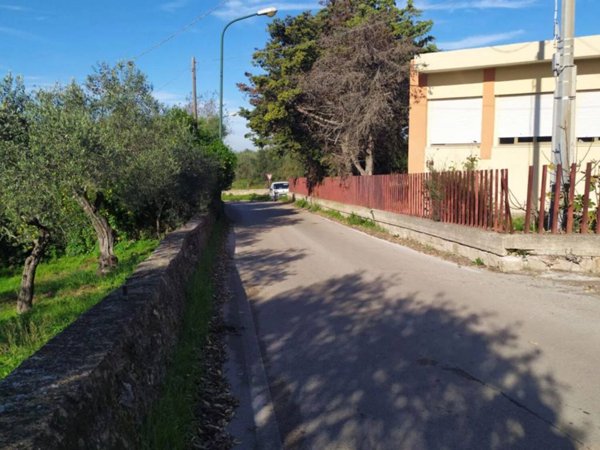 terreno agricolo in vendita a Sassari in zona La Landrigga