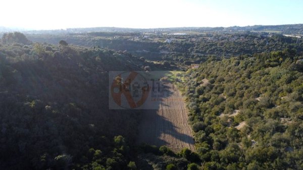 terreno agricolo in vendita a Sassari in zona Predda Niedda