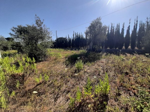 terreno agricolo in vendita a Sassari
