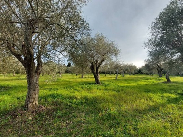 terreno agricolo in vendita a Sassari in zona Ottava