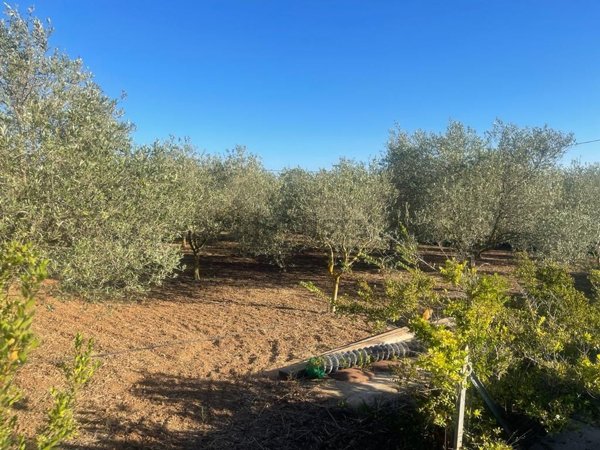 quadrivano in vendita a Sassari