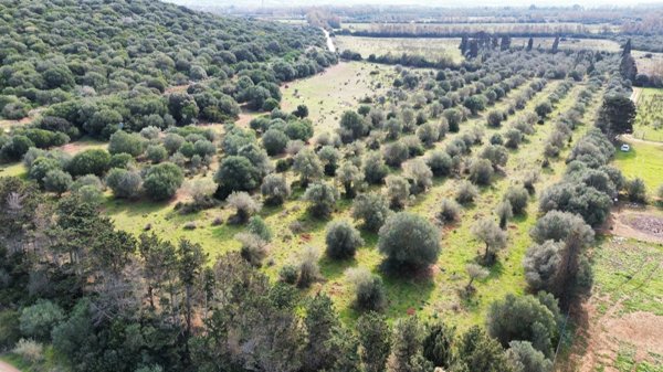 casa indipendente in vendita a Sassari in zona Tottubella/Rumanedda
