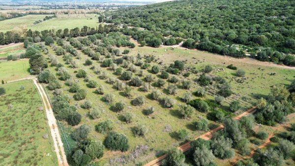 casa indipendente in vendita a Sassari in zona Tottubella/Rumanedda
