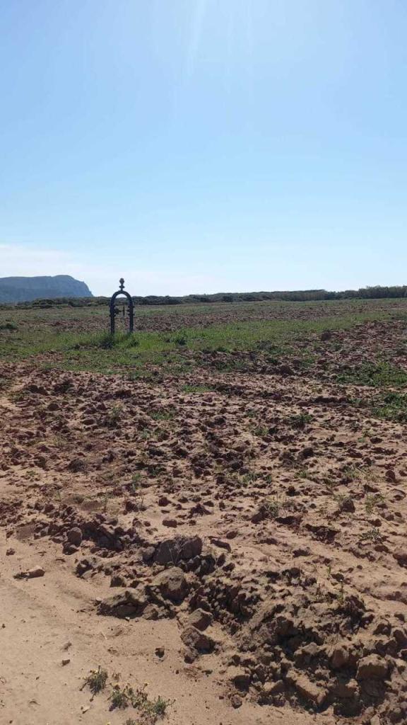terreno agricolo in vendita a Sassari in zona Baratz